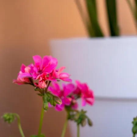 Sal- Pool & Escape * 기아