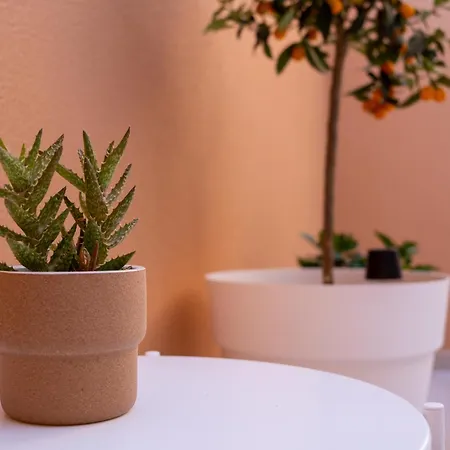 Feriehus Sal- Pool & Escape