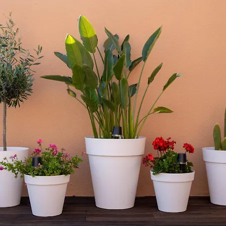 Sal- Pool & Escape Feriehus *