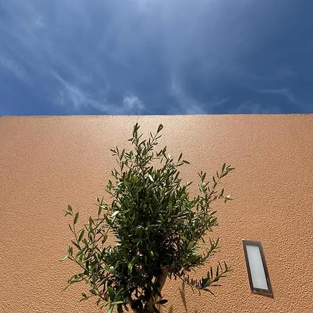 Salgados - Sal Guia (Faro)
