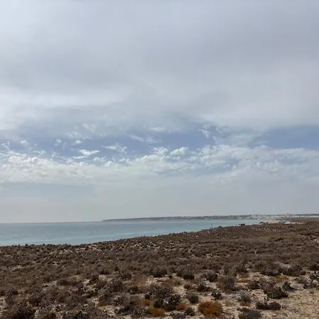 Salgados - Sal *