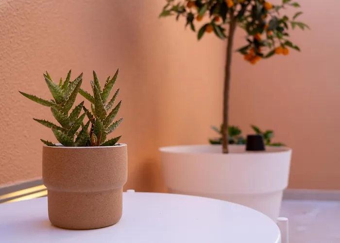 펜션 Sal- Pool & Escape