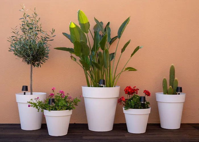 Sal- Pool & Escape 펜션 *